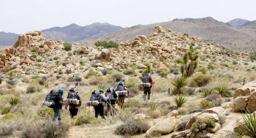 A group of backpackers hike through a desert landscape dotted with shrubs and small trees. 